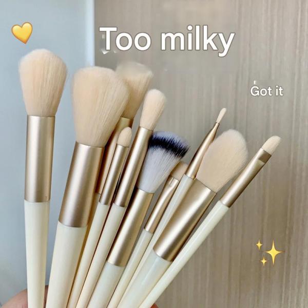 13Piece Makeup Brush Set